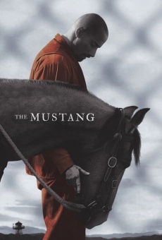 The Mustang online kostenlos