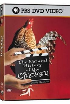 The Natural History of the Chicken online