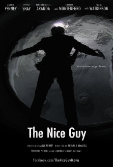 The Nice Guy online free