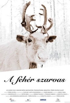 Ver película The White Reindeer