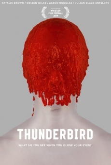 Thunderbird gratis