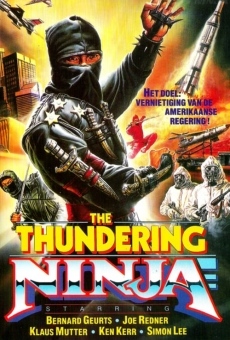 Thundering Ninja online