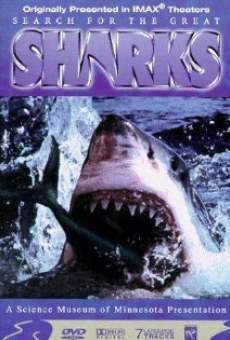 Search for the Great Sharks online