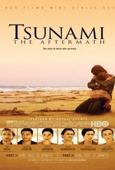 Tsunami - Les jours d'après