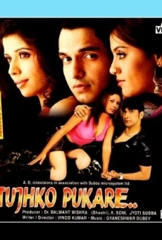Ver película Tujhko Pukare