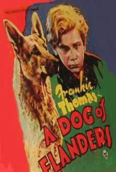 A DOG OF FLANDERS (1935) - Watch Movie Online - FULLTV Guide