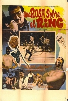 Una rosa sobre el ring online streaming