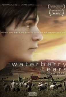 Waterberry Tears online