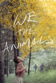 We the Animals online kostenlos