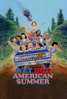 Wet Hot American Summer online kostenlos
