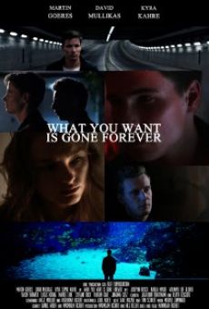 What You Want Is Gone Forever kostenlos