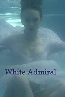 White Admiral online