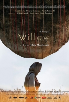 Willow online free