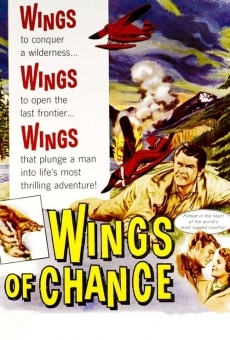 Wings of Chance online kostenlos