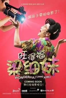 Wonderful! Liang Xi Mei the Movie online