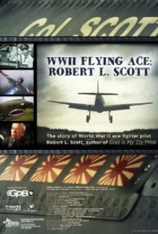 WWII Flying Ace: Robert L. Scott online