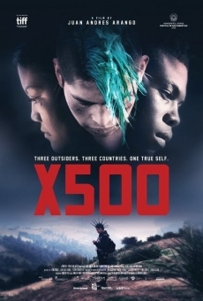 X500 online
