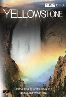 Yellowstone online