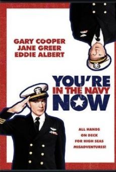 You're in the Navy Now online