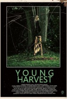 Young Harvest online streaming
