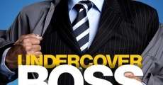 Under Cover Boss, todas las temporadas