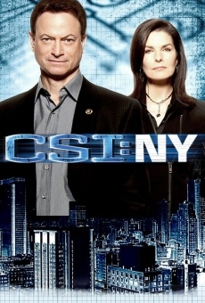 CSI New York online gratis