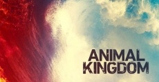 Animal Kingdom, serie completa
