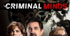 Criminal Minds, serie completa