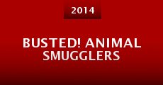 Busted! Animal Smugglers