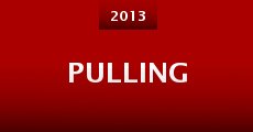 Pulling (2013)