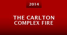 The Carlton Complex Fire